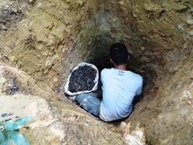 Soil pit - we dug into a coal mine apparently (photo: Lan Qie, Indonesia, 2014)